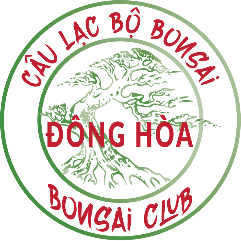 Đông Hòa Bon Sai